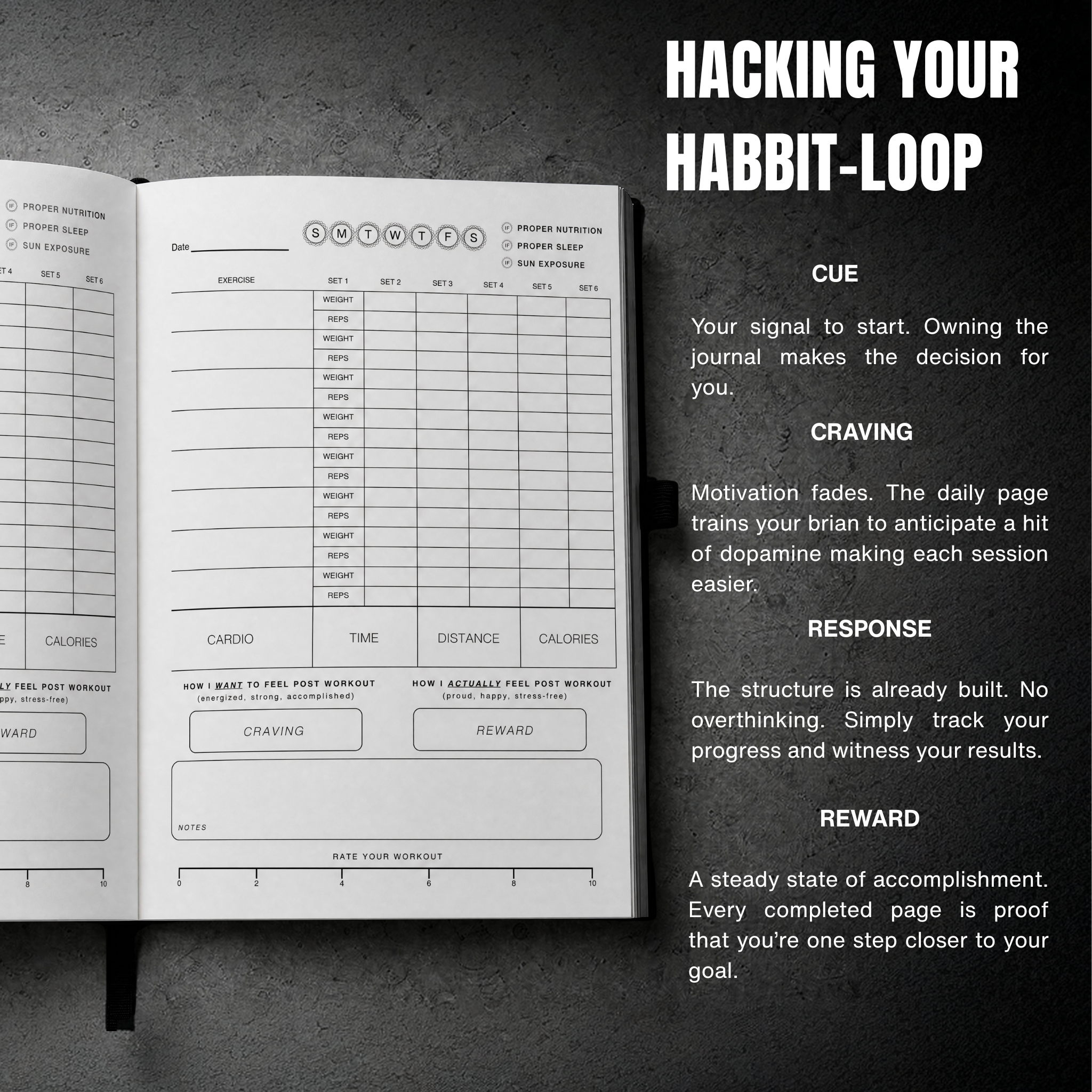 Intent Fit Journal