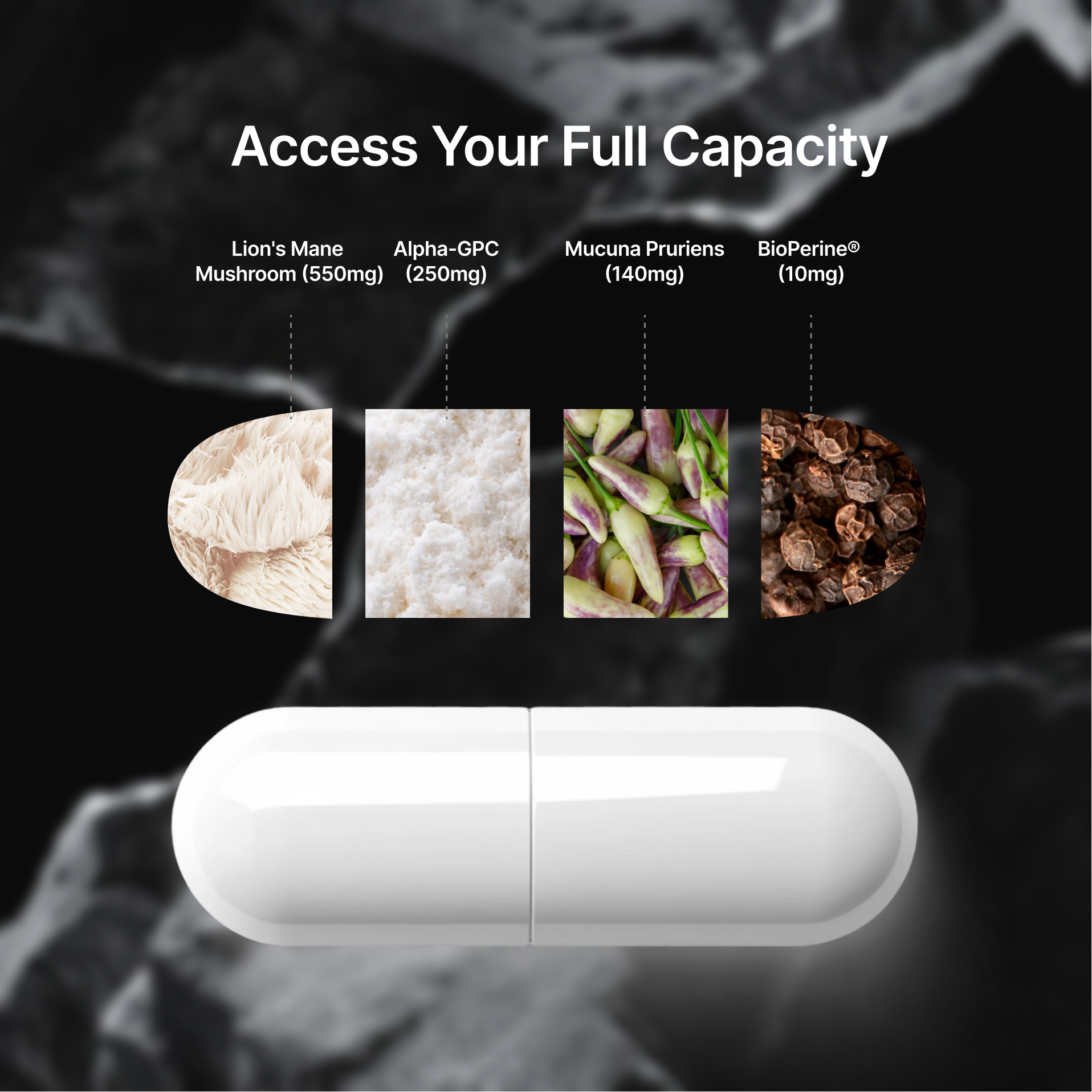 Performance Nootropic