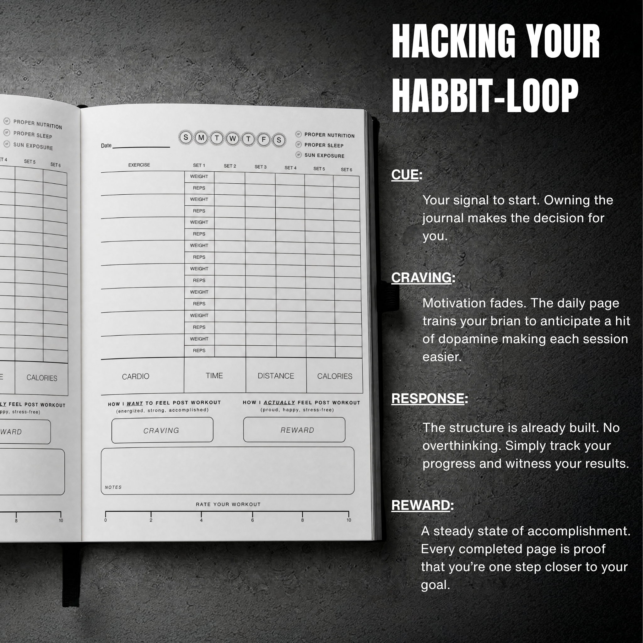 Intent Fit Journal