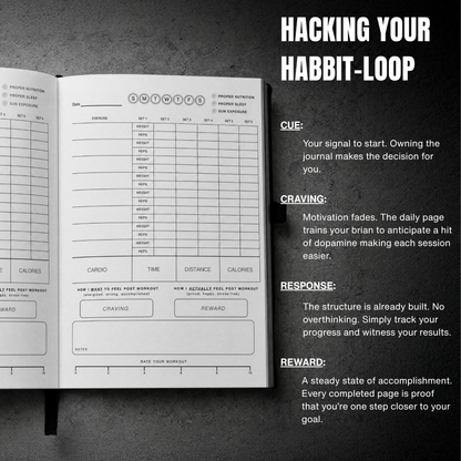 Intent Fit Journal